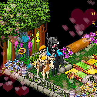 Photo by habbosuper321