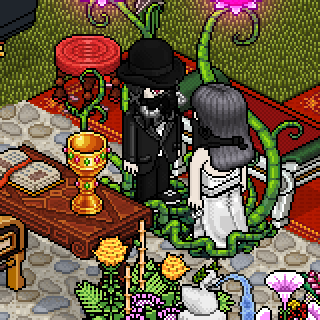 Photo by habbosuper321