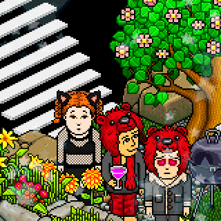 Photo by habbosuper321