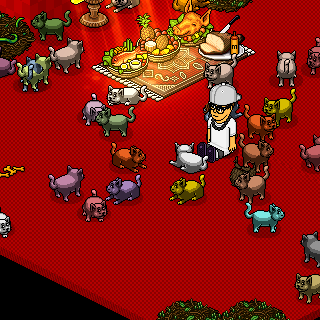 Photo by habbo-erico3