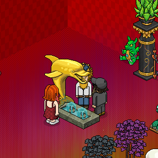 Photo by habbo-erico3