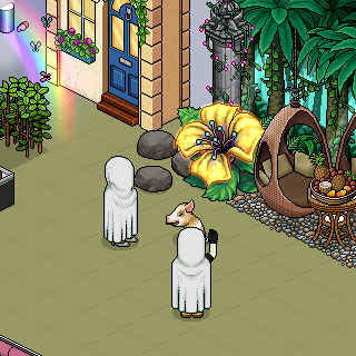 Photo by habbo-erico3