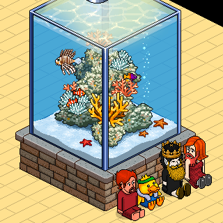 Photo by habbo-erico3