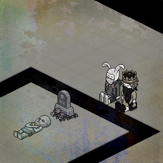 Photo by habbo-erico3