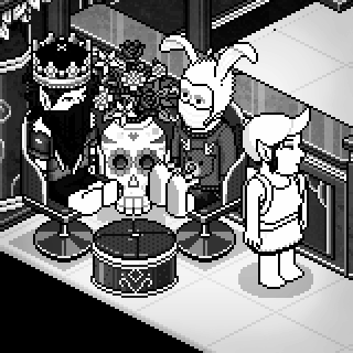 Photo by habbo-erico3