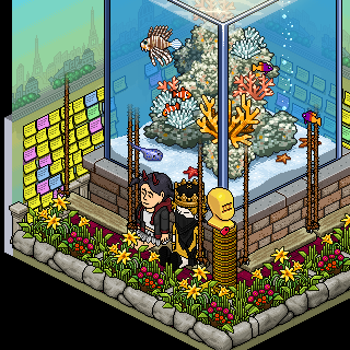 Photo by habbo-erico3