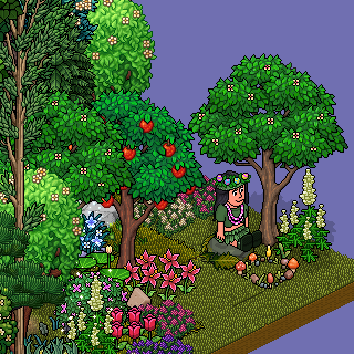 Photo by SonyPunk