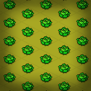 Photo by Mao,