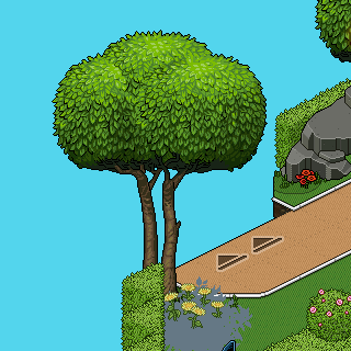 Photo by Oblivate