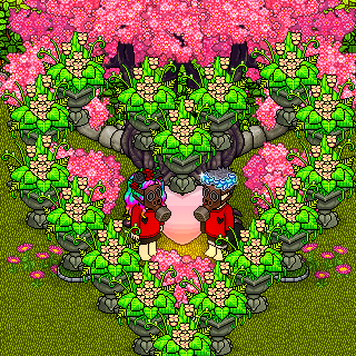 Photo by mackella