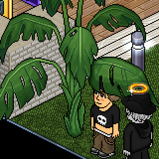 Photo by Haf,