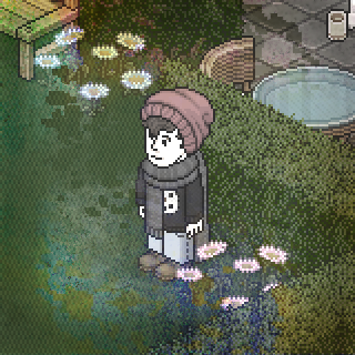 Photo by stingkiske