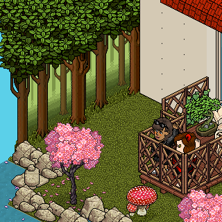 Photo by Alizita
