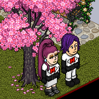 Photo by Dulcesitoo!