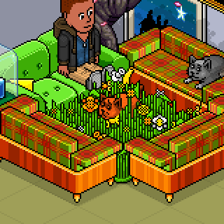 Photo by jefehabbo1214