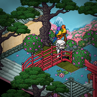 Photo by fj95zo