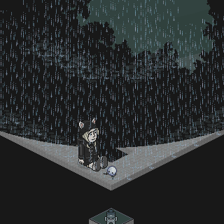 Photo by .dreary