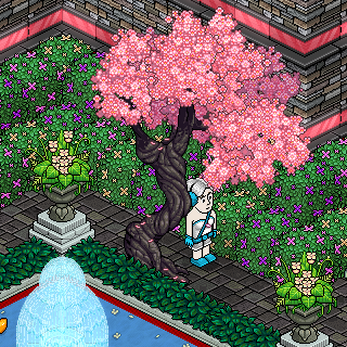 Photo by Kiery