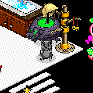 Photo by ConchowerTon