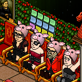 Photo by sokut