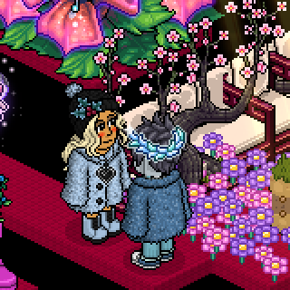 Photo by lindasara10
