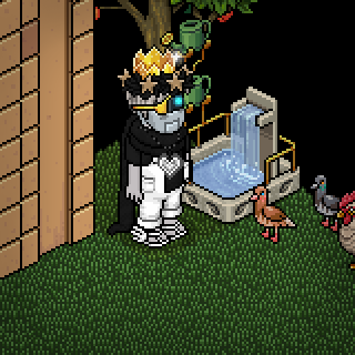 Photo by memo162