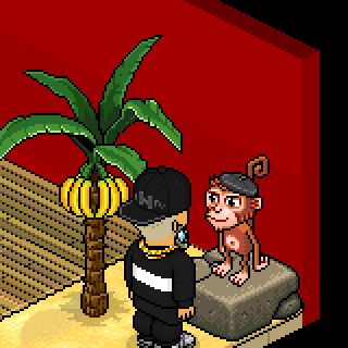 Photo by Habbohomatic