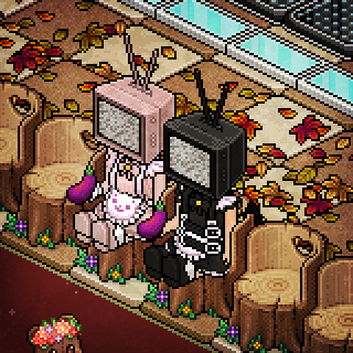 Photo by Kimikosplays