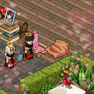Photo by xd:.carla:.xd
