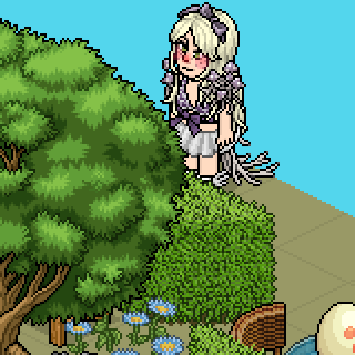 Photo by xd:.carla:.xd