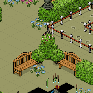 Photo by Lycaena-dispar