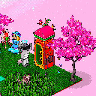 Photo by x:lolipop:x