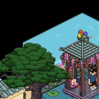 Photo by Setorres