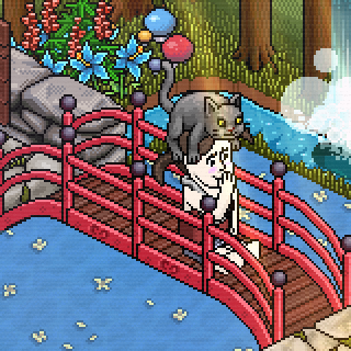 Photo by ,Verito