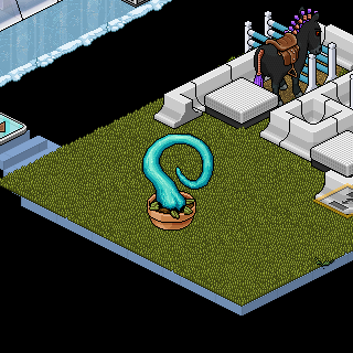 Photo by Polygamy
