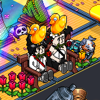 Photo by Elyz