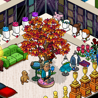 Photo by Luuuuucia!