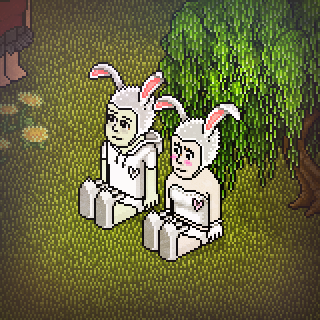 Photo by xChokiTo