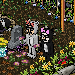 Photo by LaUrIz=DHabbo