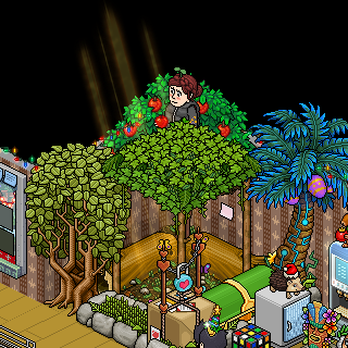 Photo by LaUrIz=DHabbo