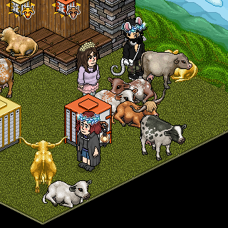 Photo by LaUrIz=DHabbo