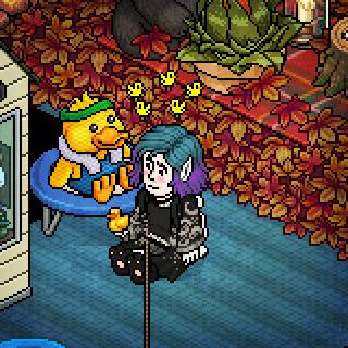 Photo by LaUrIz=DHabbo