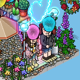 Photo by LaUrIz=DHabbo