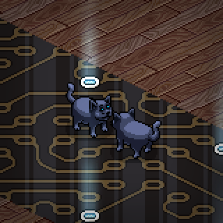 Photo by CiberhabboLola