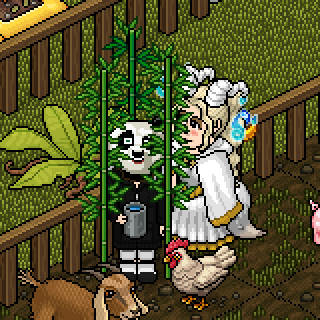 Photo by Venezia