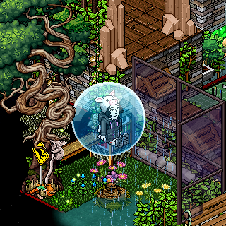 Photo by tulinda65