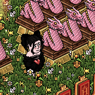 Photo by Nani,-