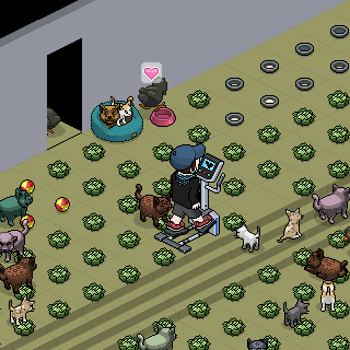 Photo by San!