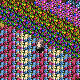 Photo by Ganbaru