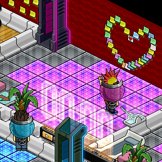 Photo by maxizacra